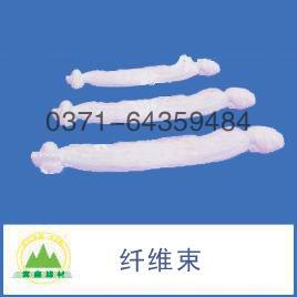 纤维束